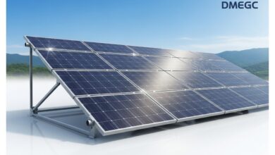 DMEGC Solar Erfahrungen