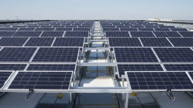 Wann lohnen sich bifaziale Solarmodule [Bildinhalt mit KI erstellt]