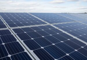 Monokristalline Solarmodule im Check