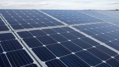 Monokristalline Solarmodule im Check